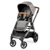 Agio Z4 Reversible Stroller - Grey